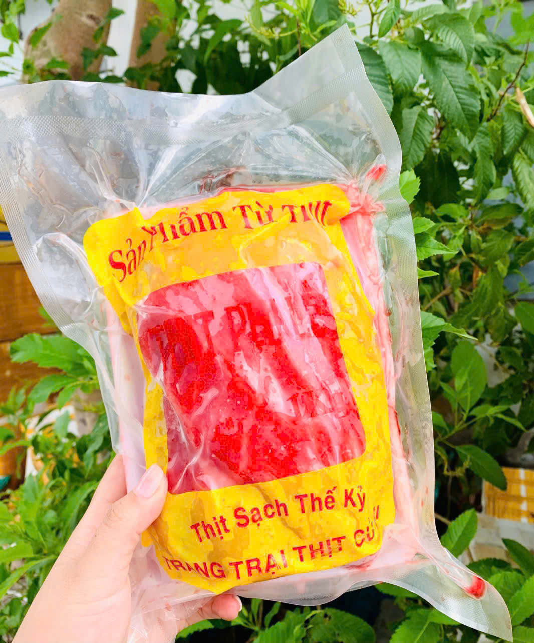 Thịt file Net đủ (Vàng)