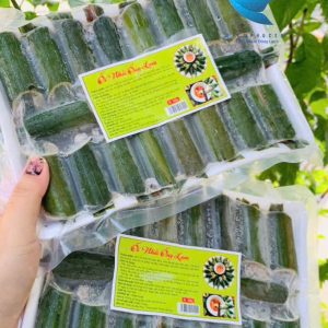 Ốc nhồi ống lam